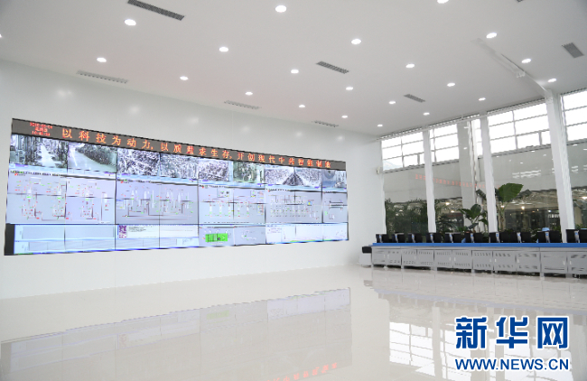 强信心·走进百企丨百亿游戏药业：“数智化”助力中医药开启发展新篇章